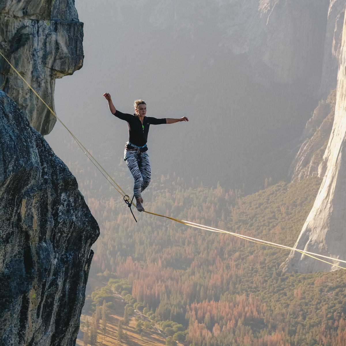 Exploring the 'fight-or-flight' response