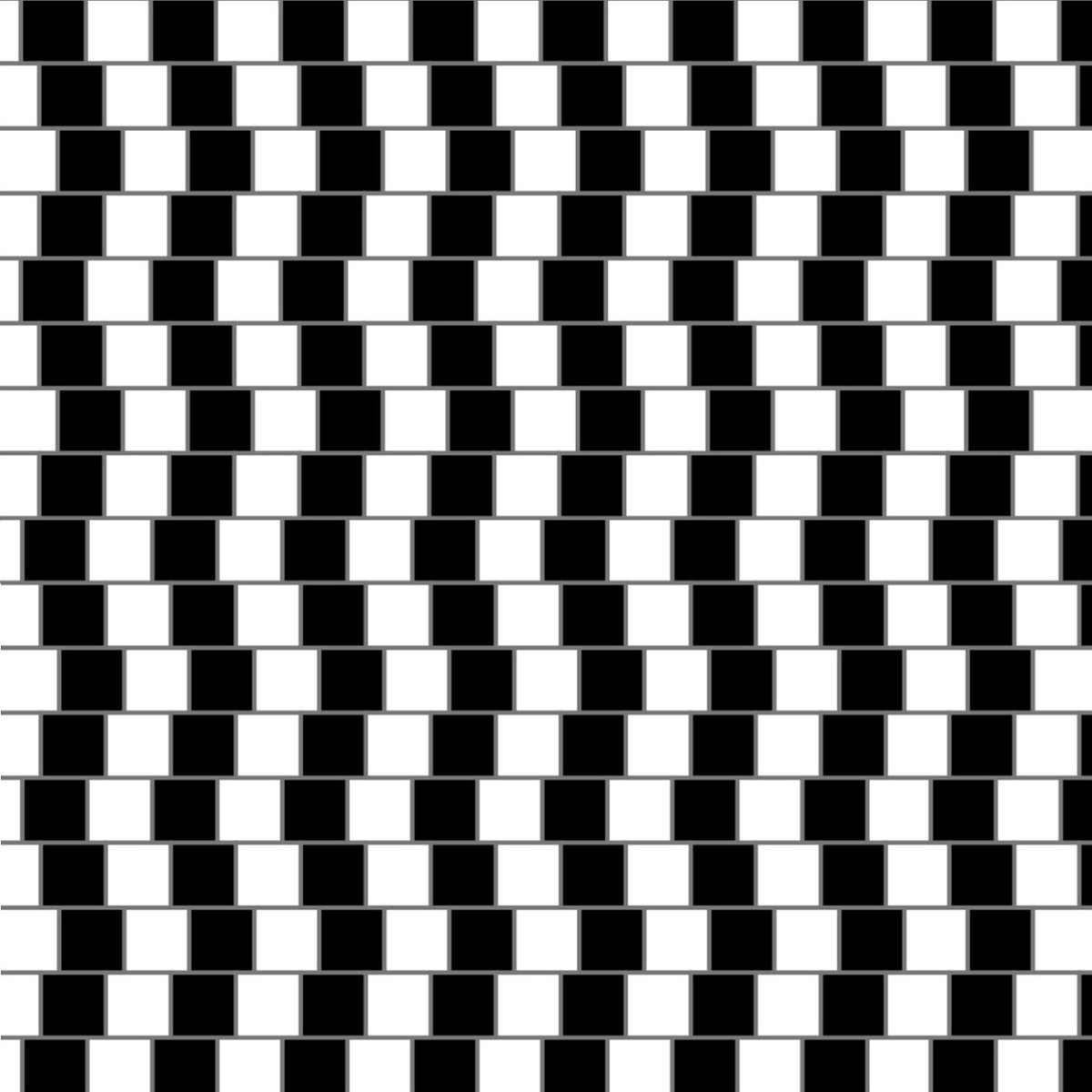 Apparent Motion line illusion black and white stripes waves