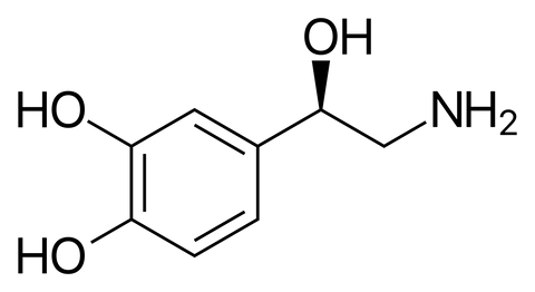 Chemical composition of noradrenaline adrenaline molecule breathing meditation focus